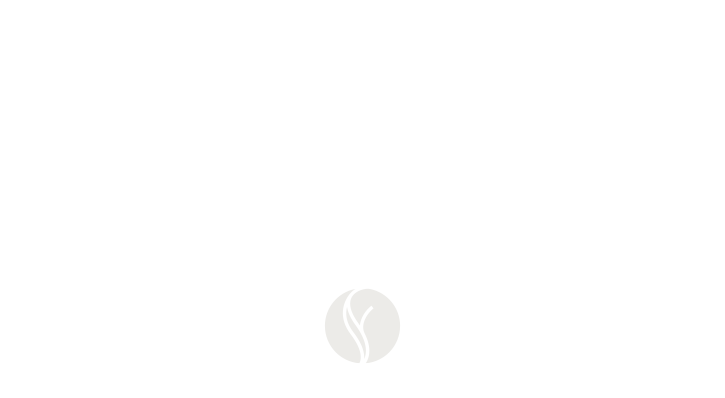 brooks-logo-es