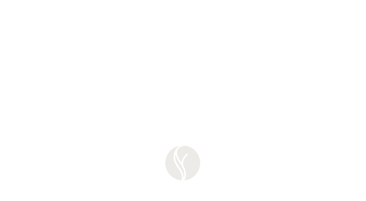 margot-logo-en