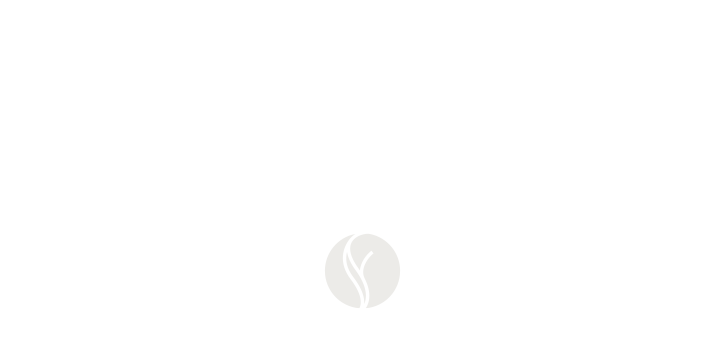 brooks-logo-de