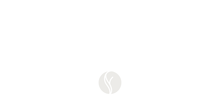 brooks-logo-es